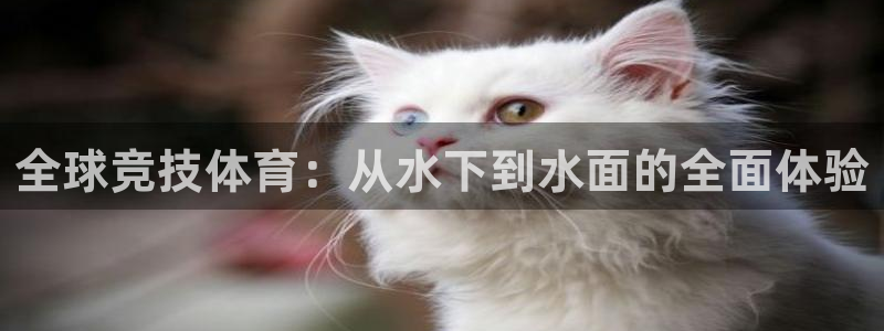 绿茵直播足球：全球竞技体育：从水下到水面的全面体验